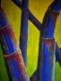 Dickicht (Acryl auf Papier)